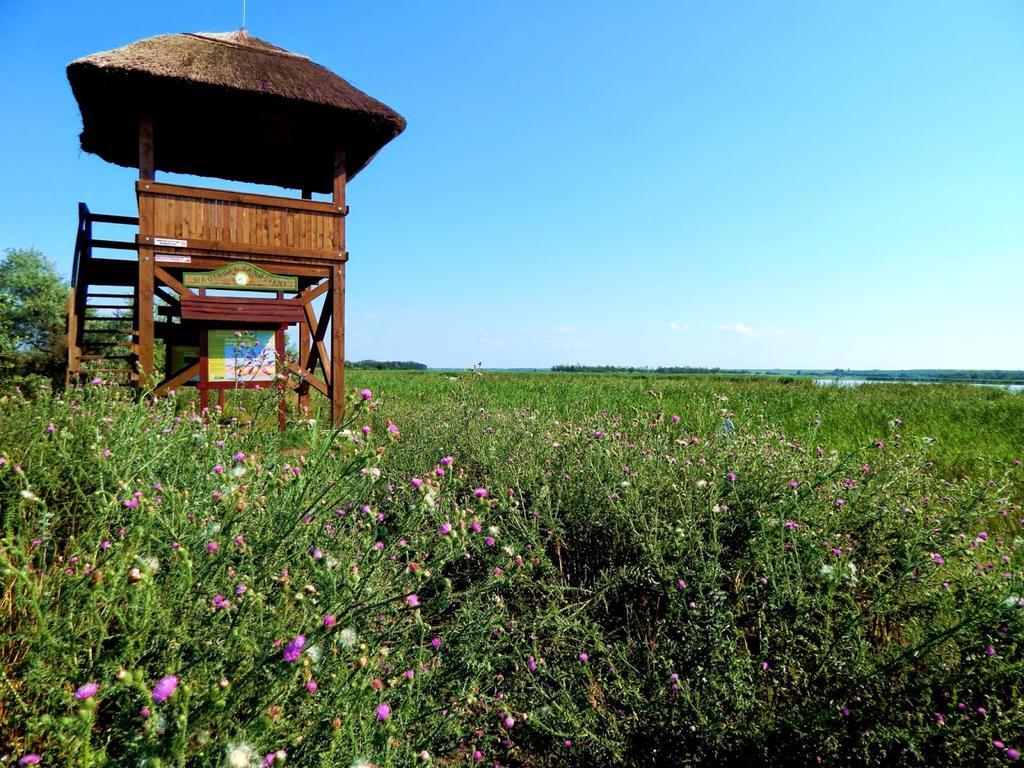 Wellness Apartments In Веленце Екстер'єр фото