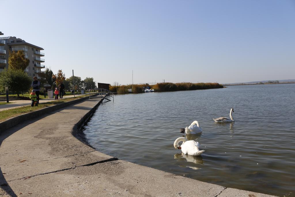 Wellness Apartments In Веленце Екстер'єр фото